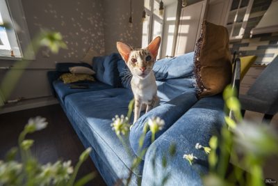 mmrmodu4mzc1ndc1mzewotizyjk5mdcxmmnlodgxnmzlzdzlyzkyzjzhmgu4yjewm2i4nji2y2m4mwjjnjk4ywsm-raw3_2-400-5576057