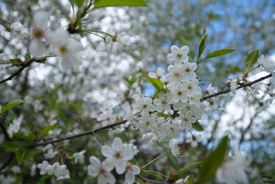 mzc4nzc1mwuzndzmndu0nza2ogezyzbmmzjlyzkyyjc0ntdinmqynthizgq4mzexzdg5nwiwmwm0mtzinjfhoasm-jp_3-400-6574438