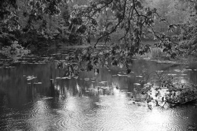 ntc0ymmxndllmmjlntu2ntrlyme5zdy0ndyznju4mmfjzwjmotg4yjewotlkmtixmgm4ztk1zjlknwm4ntk2nqsm-bw_1-400-3612190