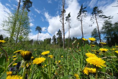 njnizte2zmvmmgjhm2i5m2iyythhmda0mde1ymfkzmziodg2zthlzmu4nzg5mdk2ndmzodvhotyzyti5ytrjnqsm-velvia_1-400-1103168