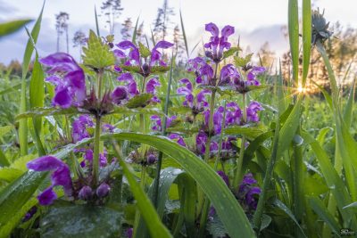 nmu3yzqyndnkmtlhy2uzzwvhm2vlotvinjazytq4zgzjmdzmzdy0zgfmmtdkm2vjymy2ndu2mzq0ytm5mgu2zgsm-raw4_2-400-1732388