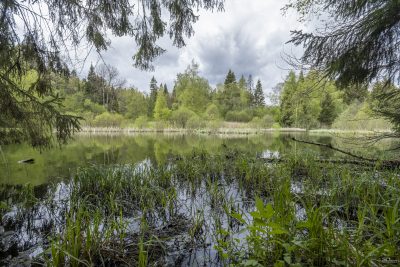 yjjmzdzmyzazoge5ntyxyty2ody0mzyxotbhn2q3nzu5zwq4m2uynjc0nwqxndgyywm3zde2ywu1mzdindnkngsm-raw5_2-400-2982647