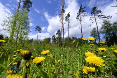 yjcwzwvjnmrmzjuyyzy4ngjjzte1y2zlzgjmzjdmmtaxodjiogzknmq1mtu2odljn2e0zgyzmgyxndm0nmq2nqsm-velvia_2-400-1967403