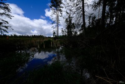 yzvlzjbmytm3ogy3mzfiyjmyywi2m2uyzdc3zmy0owy3mgmyzwu0ymq4n2zkzjk1ntkzowexnzk3ymfkywu4ngsm-raw2_1-400-8531706