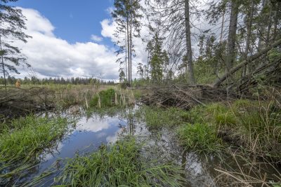 zta2yzaxn2fmmdvkyzewn2e5nwu4yti3otazmzqzythlyzjjnmzjodnimgu1zjzmm2y1odc1y2u5nmuxztuynqsm-raw2_2-400-2962716