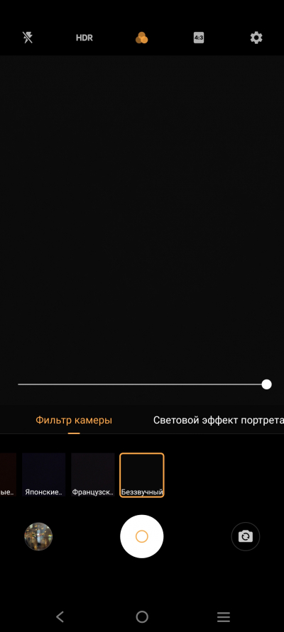 Фильтры, встроенные в приложение камеры vivo V21