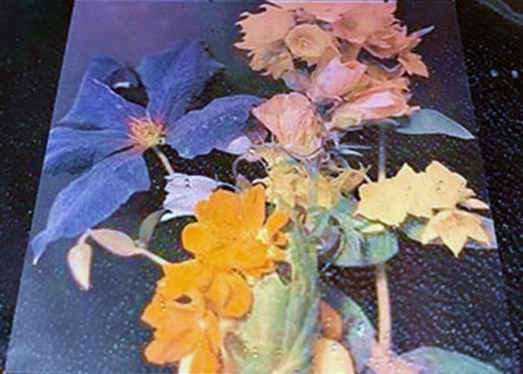 Источник изображения: Andreas Dahlin/Xiong 2021 Advanced Materials