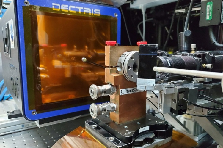 Изображение: Виталий Пракапенка