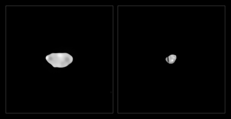 Сильвия и Ламберта