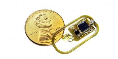 Источник изображения: arizona.edu