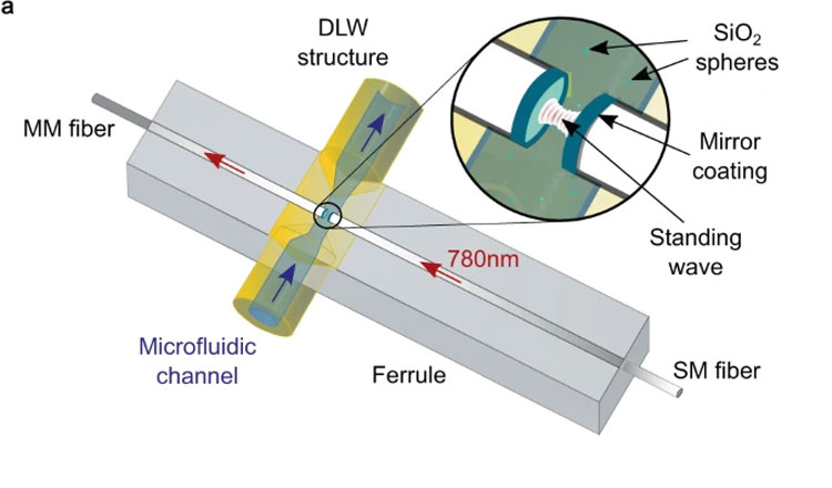 Источник изображения: Nature Communications