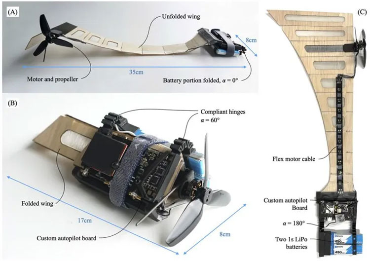 Источник изображения: Singapore University of Technology & Design