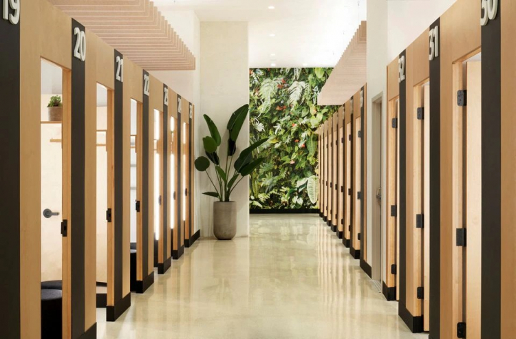 Источник: Amazon